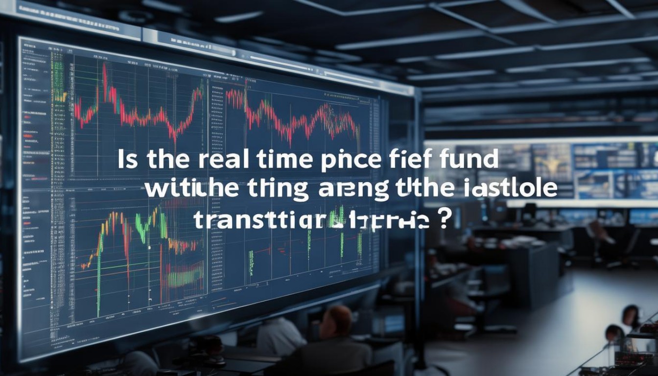 场内基金实时价格是实时成交价吗?