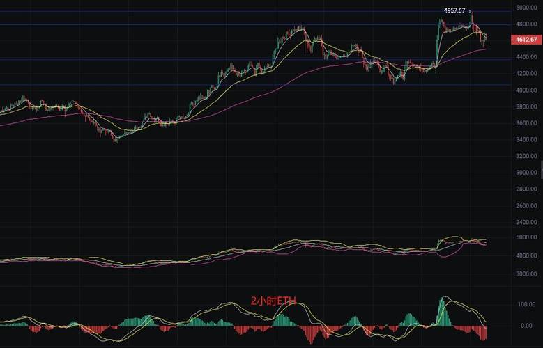 比特币现金实时行情多少钱?