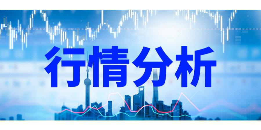 p照片行情现在什么价?