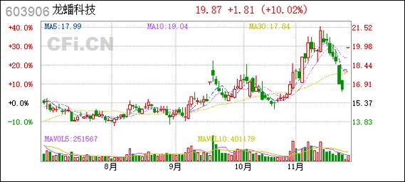 龙蟠集团行情如何?最新走势与投资价值解析