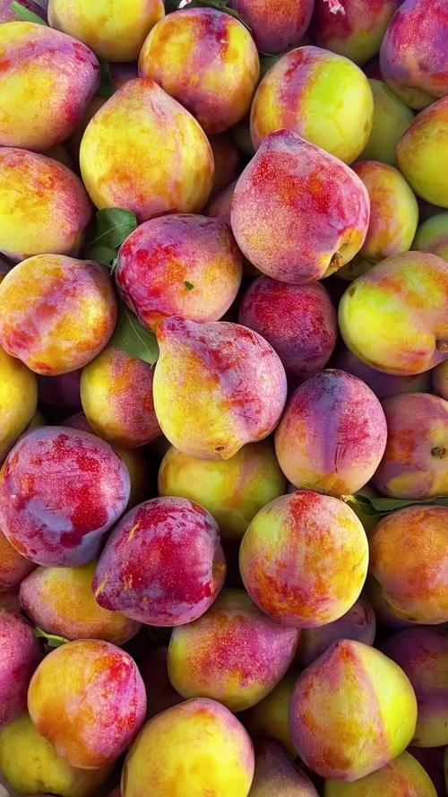 当前桃李市场行情波动背后,供需关系与气候因素如何影响果农收益与消费者选择?