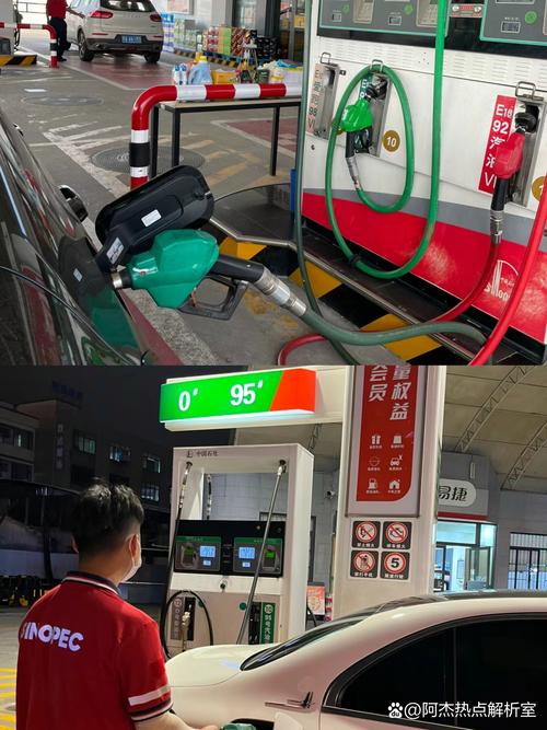 龙油1000实时直播间,最新行情解读与投资策略深度解析?