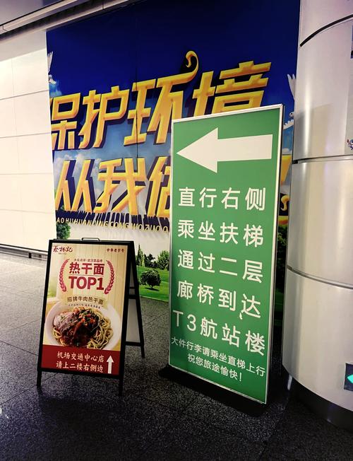 实时天鸽去哪了？消失路径与后续影响究竟如何？