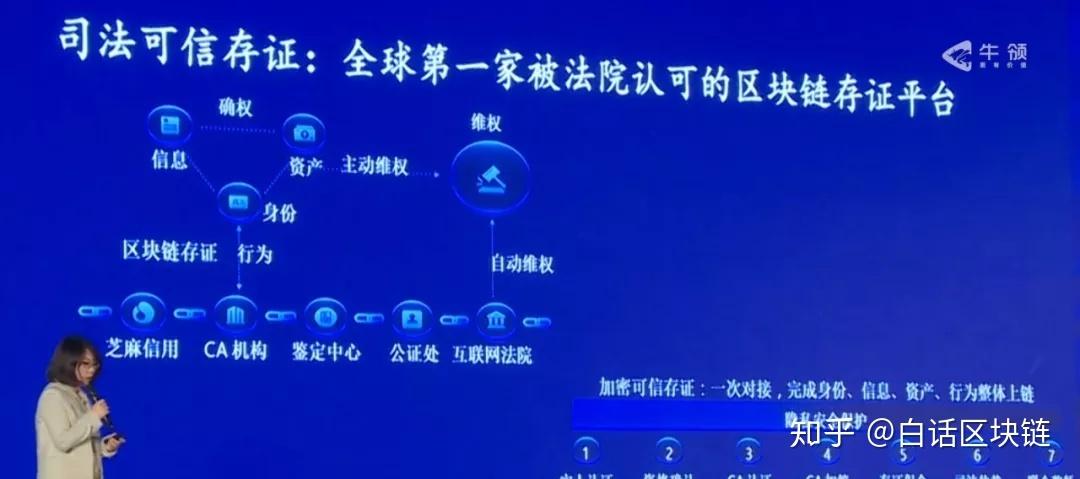 闫莺视角下区块链隐私保护的瓶颈与突破路径是什么?