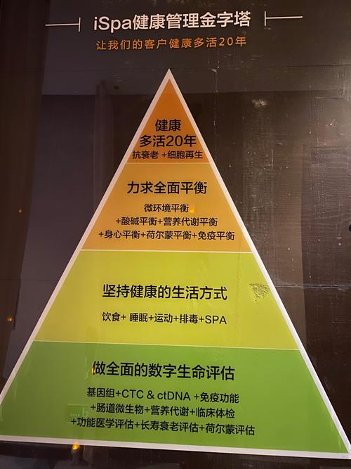 HMS全球区块链健康如何重构医疗数据信任？跨境医疗协同与隐私保护如何平衡？