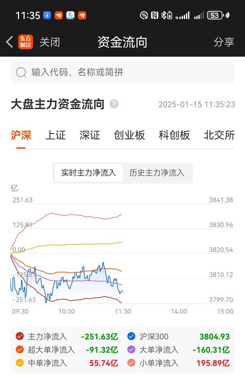 实时看主力资金流入