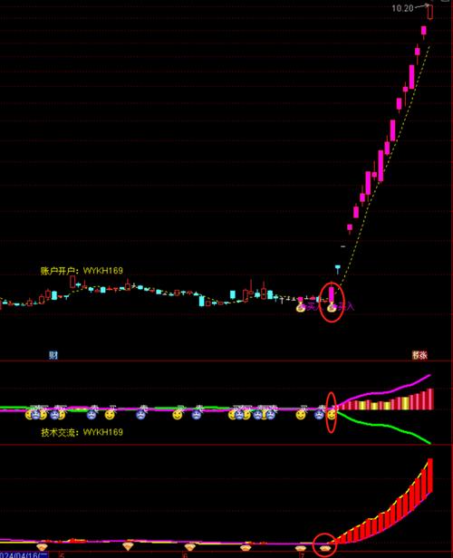 实时看主力资金流入