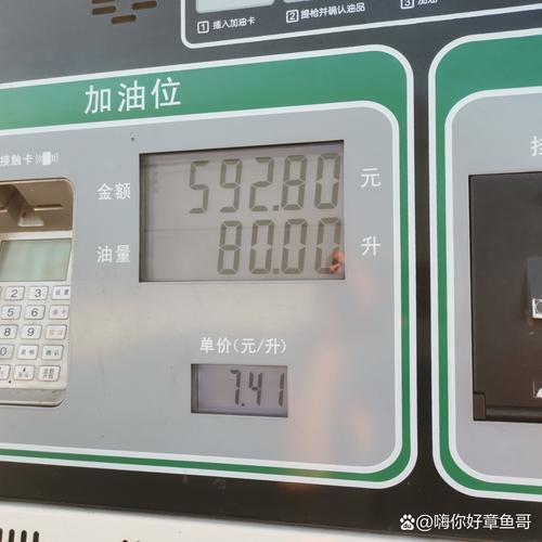 齐鲁油行情实时点位最新变动如何?当前市场趋势与操作建议是什么?