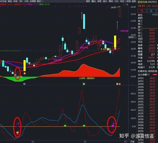 实时主力资金流向指标
