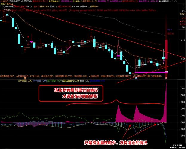 实时主力资金流向指标