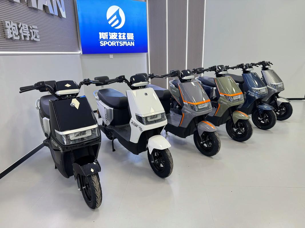 巴基斯坦电动车市场现状如何？本土品牌与外资竞争格局怎样？