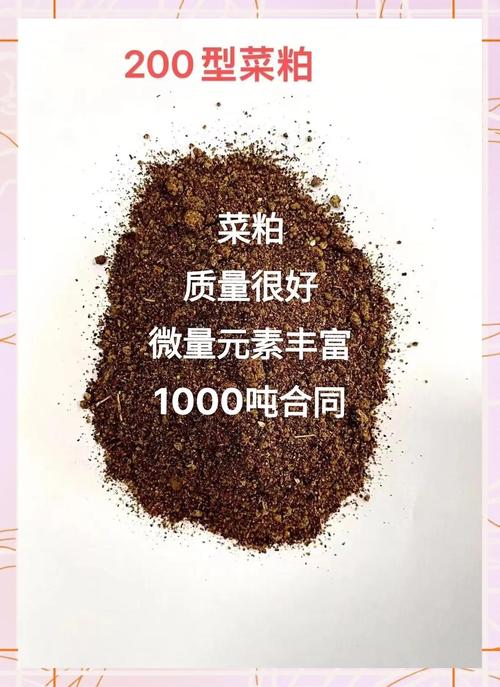 菜粕1709最新行情如何？近期价格波动原因及未来走势预测分析