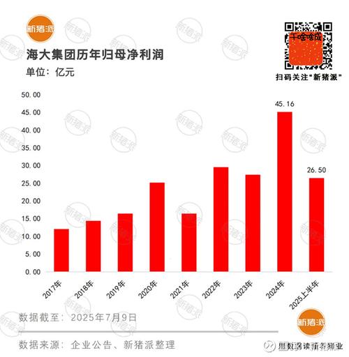 庞大集团历史行情中股价波动背后有哪些关键影响因素?